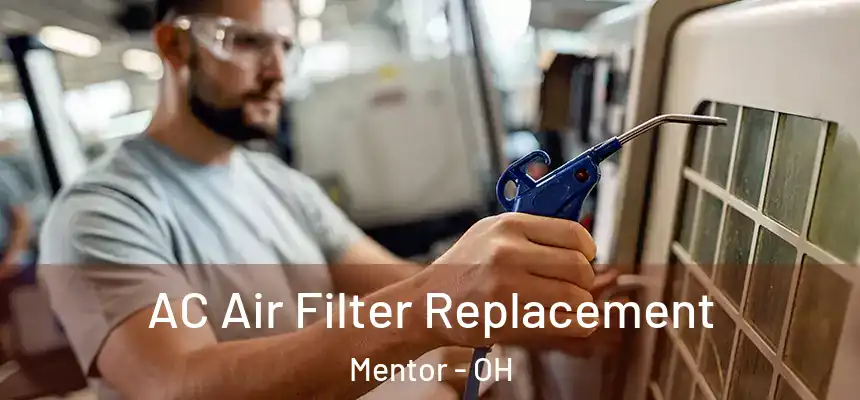  AC Air Filter Replacement Mentor - OH