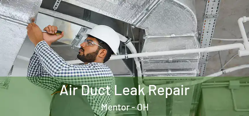 Air Duct Leak Repair Mentor - OH