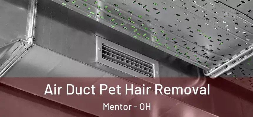  Air Duct Pet Hair Removal Mentor - OH