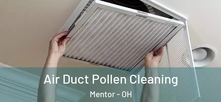  Air Duct Pollen Cleaning Mentor - OH