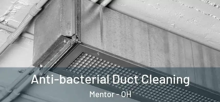  Anti-bacterial Duct Cleaning Mentor - OH