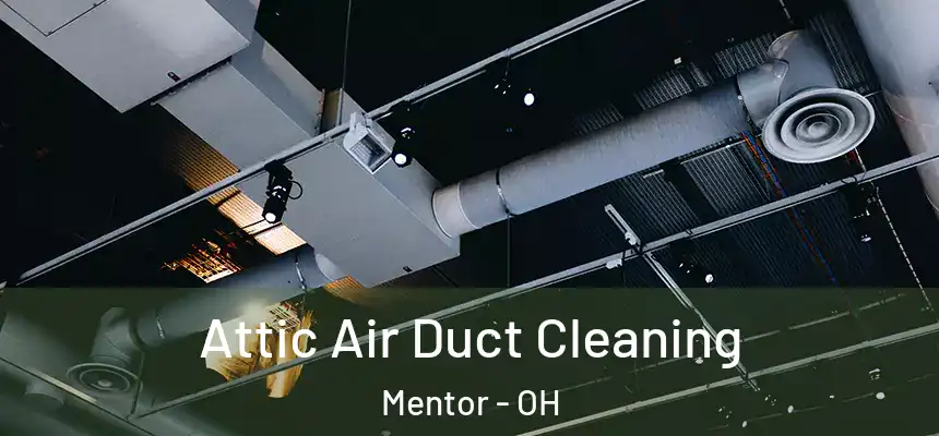  Attic Air Duct Cleaning Mentor - OH