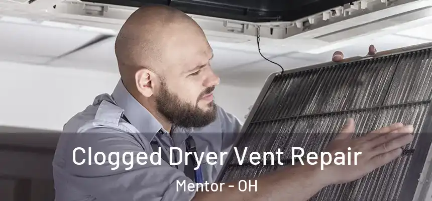  Clogged Dryer Vent Repair Mentor - OH
