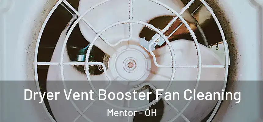  Dryer Vent Booster Fan Cleaning Mentor - OH