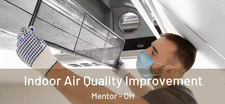  Indoor Air Quality Improvement Mentor - OH