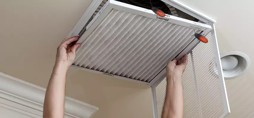 Our Insect Removal from Air Ducts Services in Mentor, OH
