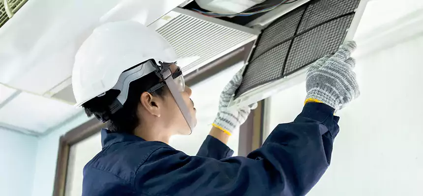 Our Mold & Mildew Removal from Air Ducts Services in Mentor, OH