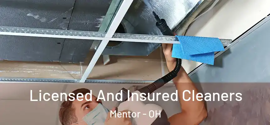  Licensed And Insured Cleaners Mentor - OH