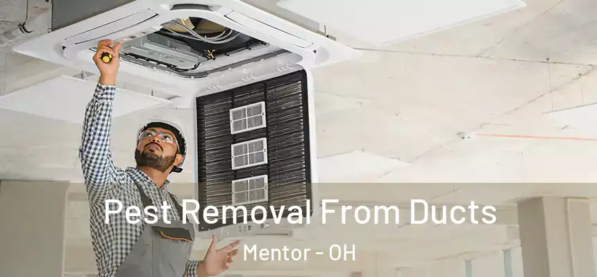  Pest Removal From Ducts Mentor - OH