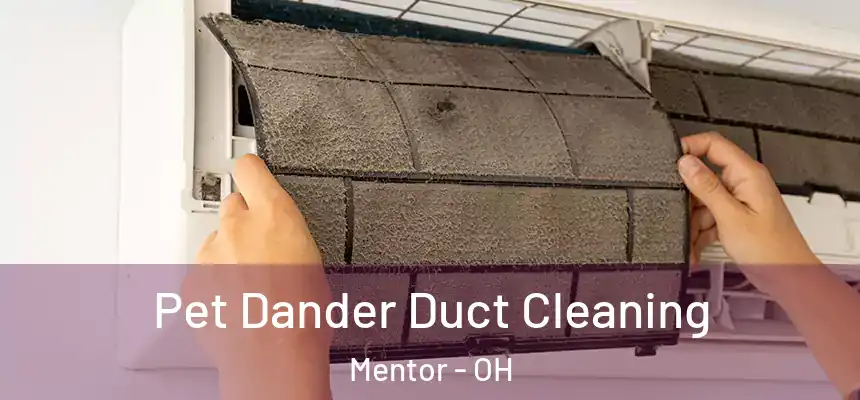  Pet Dander Duct Cleaning Mentor - OH