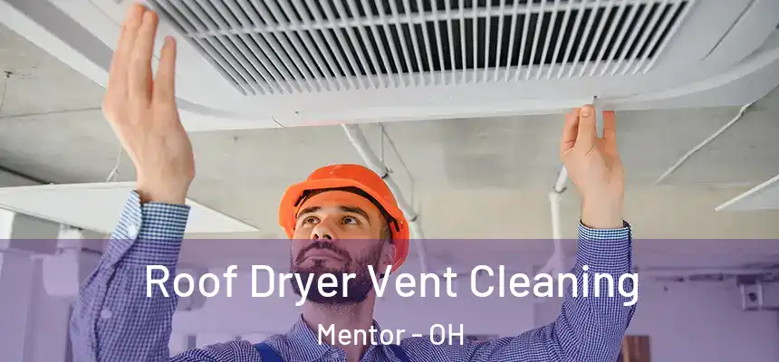  Roof Dryer Vent Cleaning Mentor - OH