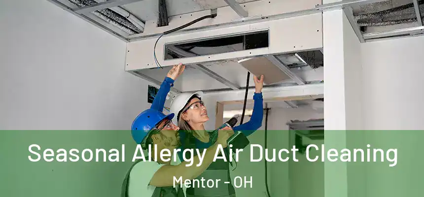  Seasonal Allergy Air Duct Cleaning Mentor - OH