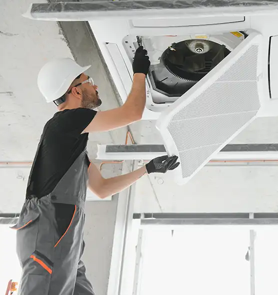 About Air Duct Rodent Removal in Mentor, OH