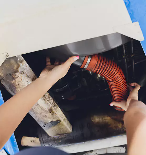About Air Duct Virus Disinfection in Mentor, OH