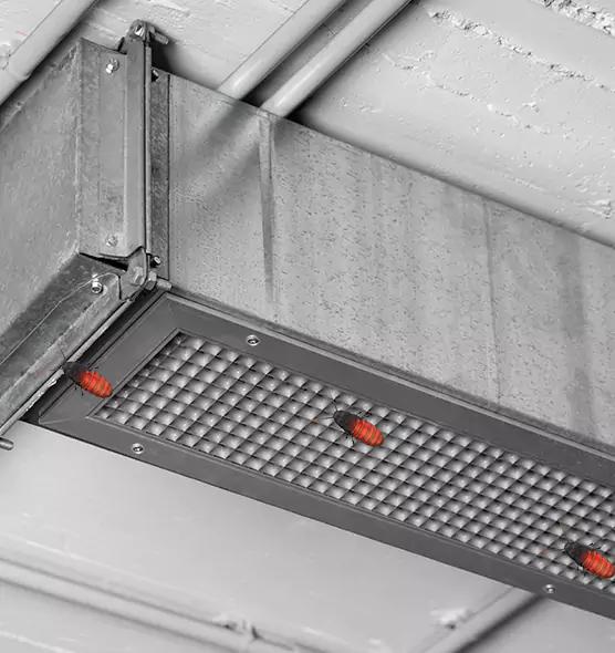 Affordable Insect Removal from Air Ducts in Mentor, OH