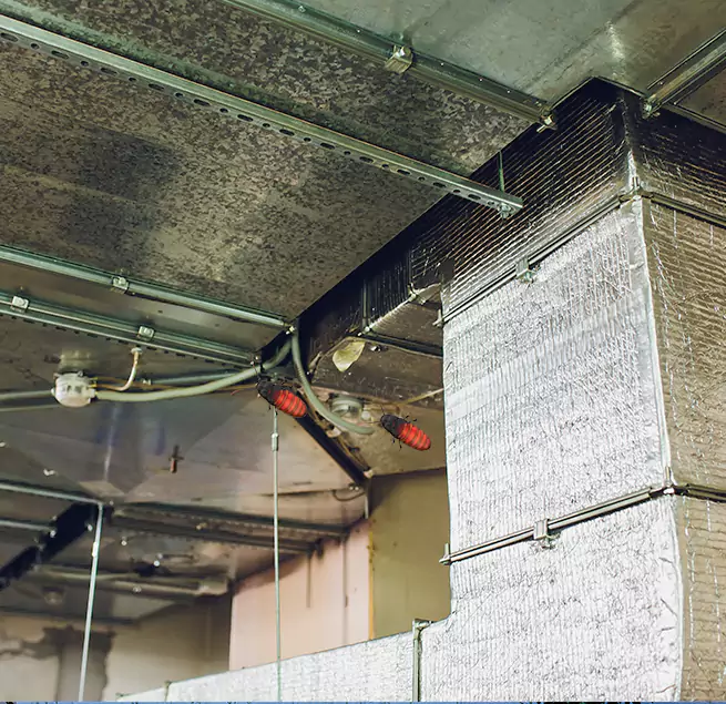 Why Homeowners & Businesses Trust Us Mentor, OH?