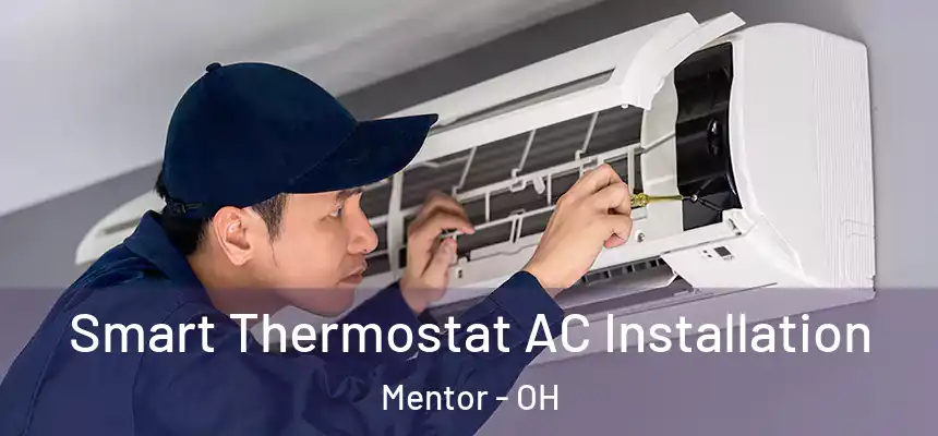  Smart Thermostat AC Installation Mentor - OH