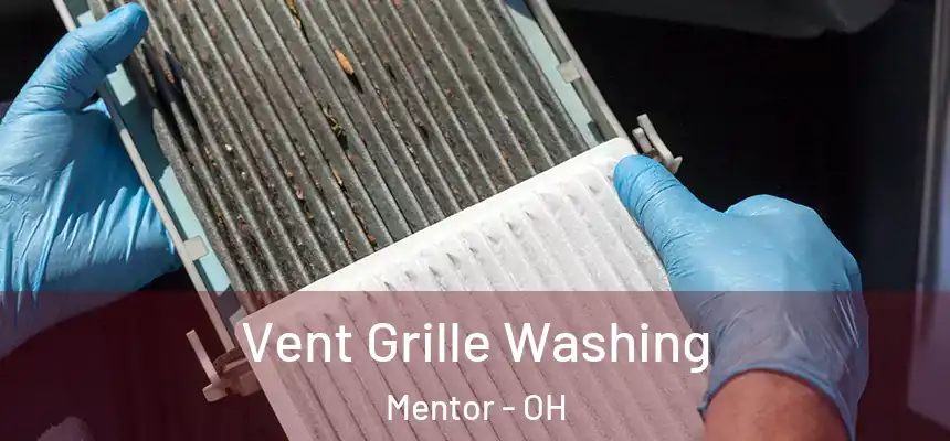  Vent Grille Washing Mentor - OH